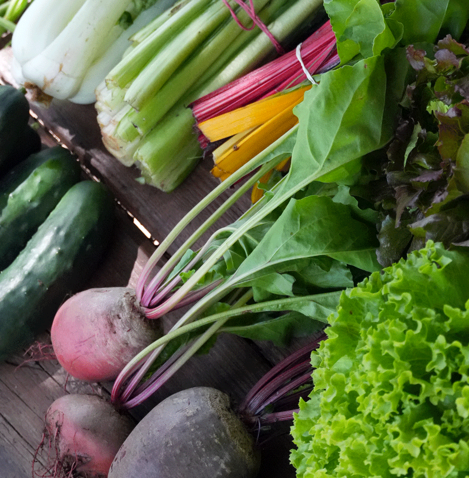 FROM-FARM-TO-TABLE-2_right FROM-FARM-TO-TABLE-2_right